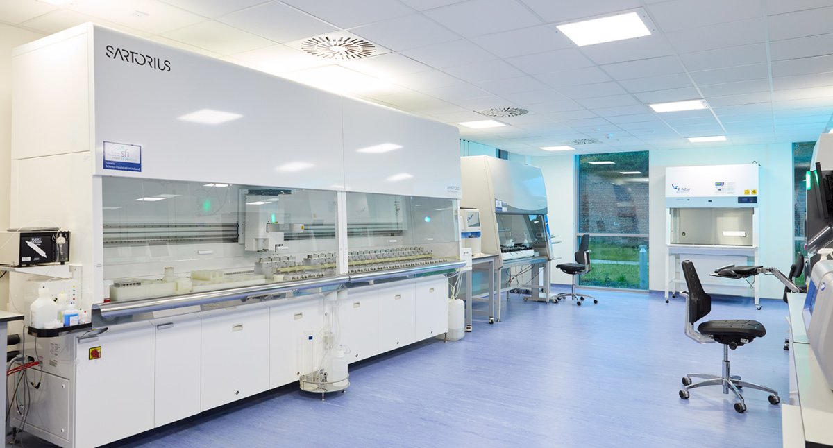 Optimizing Performance for Large Date Sequence Generation Boosts Efficiency